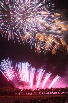 제48회 도카이축제 불꽃축제 — 유명 불꽃 회사 프로듀스의 창작 불꽃은 필견