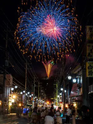 祇園祭ふるさと茂木夏まつり 画像(2/4)