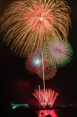 나스노 후루사토 불꽃축제 — 이미지 (4/5)