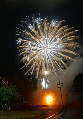百華繚乱花火～きぬがわえんか～ 画像(4/5)