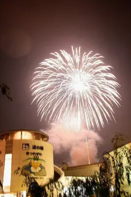 =さくら市市制20周年=さくら市きれつ川花火大会2025 フィナーレを飾る尺玉とスターマインのコラボは大迫力