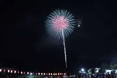 月夜に咲く美しい単発花火