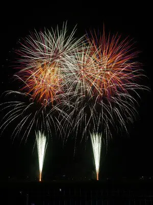 色鮮やかな花火が夜空いっぱいに広がる
