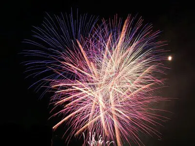 아사카 시민 축제 '사이카사이'