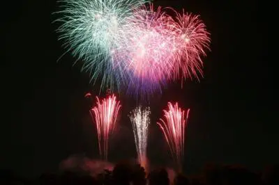 레이와 8년도 사이타마시 불꽃축제 히가시우라와 오아마기 공원 회장 - 연쇄 발사 불꽃과 스타마인 등이 밤하늘을 수놓다