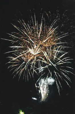 夜空に広がる大輪の花火