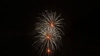 토부 동물공원 발사 불꽃 이미지(4/4)