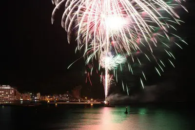夜空に大輪を描く迫力の打ち上げ花火