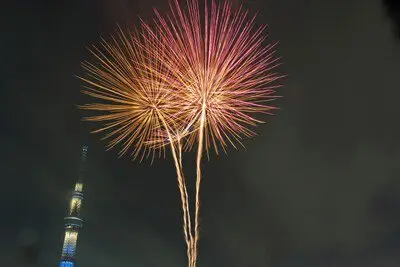 밤하늘에 크게 펼쳐지는 황금빛 대형 불꽃