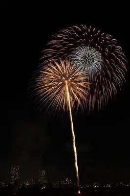 에도가와구 불꽃대회 이미지 (4/5) (이미지는 제48회 것입니다)