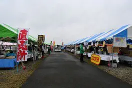 SAKAE 리버사이드 카니발~미소를 잇는 수변 축제~ 4