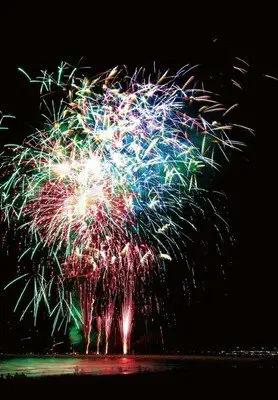 岩井花火 冬花火
