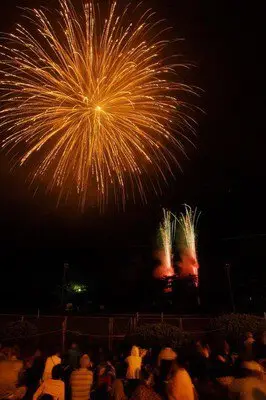 弥彦燈籠まつり奉納花火大会 画像(3/5)