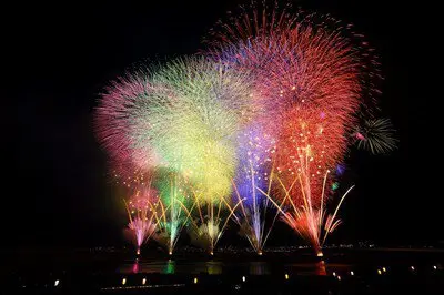 Colorful large blooms competing to color the night sky and water surface