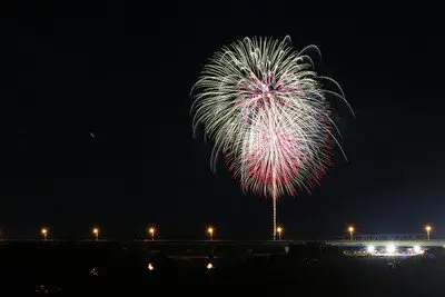 夏の夜空を鮮やかに染め上げる色彩豊かな花火