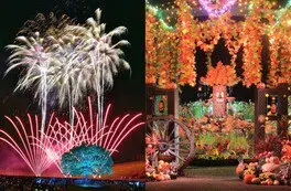 長岡花火萬聖節奇幻夜