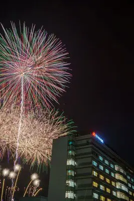 丸子中央病院 花火大会 画像(3/5)
