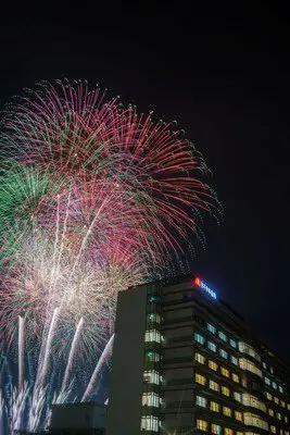 丸子中央病院 花火大会 画像(4/5)