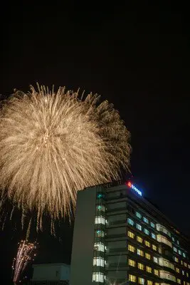 丸子中央病院 花火大会 画像(5/5)