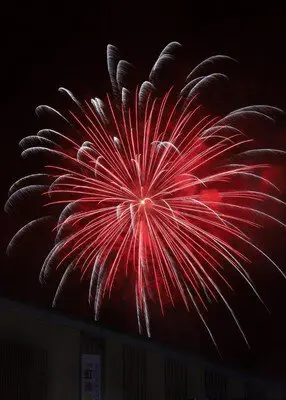 Brilliant red large-bloom fireworks spreading across the night sky