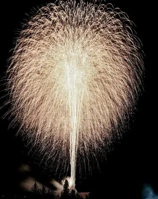츠케치 유메 축제 불꽃축제: 울려 퍼지는 소리와 하늘에 가득 피어나는 불꽃은 대박력입니다