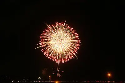 夜空に鮮やかに咲く一輪の花火