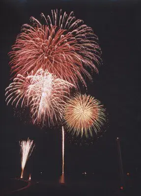 夜空を埋め尽くす華やかなスターマインの競演