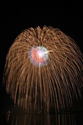 黄金色の光が夜空に降り注ぐ大輪の花火