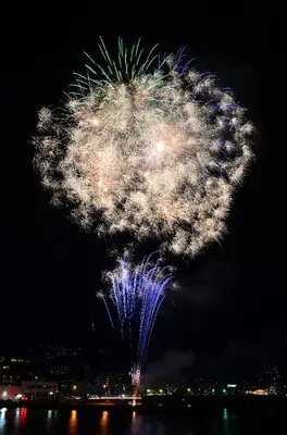 伊東温泉「夢花火」画像(3/5)