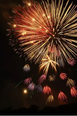 제57회 도카이 축제 불꽃축제 — 관람석과 발사장이 가까워 다이내믹한 불꽃을 즐길 수 있습니다