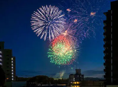 第95回 せともの祭 夜空を彩る大輪の花火が頭上で炸裂