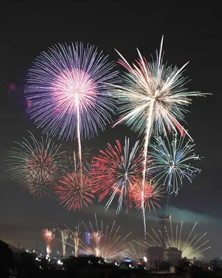 第3回 渥美半島花火大会 夜空を埋め尽くす、感動の大輪