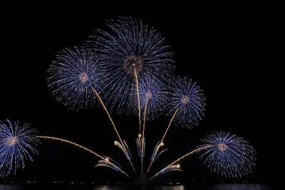 大津志賀花火大会 画像(4/5)