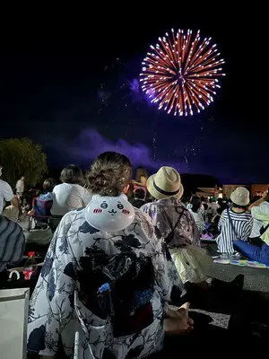 佐用町南光向日葵祭煙火大會 圖片(2/2)