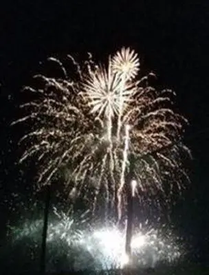 西脇市·黑田庄夏祭 圖片(4/4)