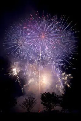 朝來市山東夏祭 圖片(2/5)