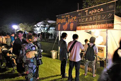 Japan Air Self-Defense Force Nara Base Fireworks Launch (Heiseiyama Summer Festival)