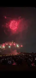 城陽秋花火 2026 4