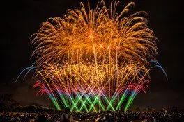 城陽秋花火 2026