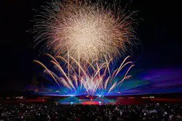 Night Fantasy Illusion 2026 2