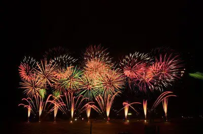 江の川祭 花火大会 画像(2/4)
