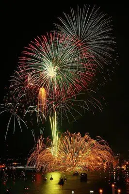黄金の光が一斉に広がる夜空の華