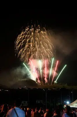 備後國府祭煙火大會——約3,000發升空煙火彩繪夏日夜空