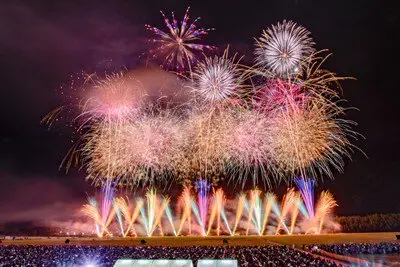 The moment when multicolored blooms blossom in the night sky