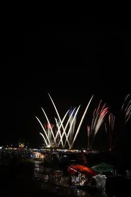 四国中央市土居夏まつり 花火大会 画像(3/5)
