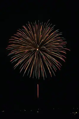 나카가와 시민 축제