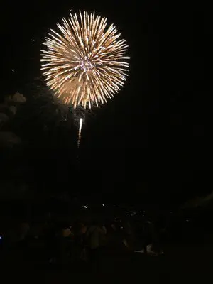 鎮西町夏まつり「波戸岬納涼花火大会」 画像(3/4)