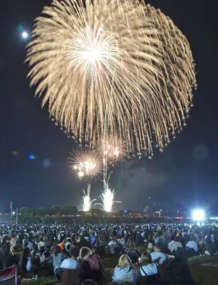 秋の夜空に広がる黄金の大輪