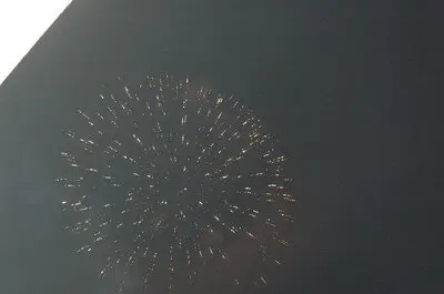 富江まつり 画像(2/2)
