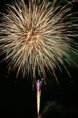 第46回 長与川まつり
